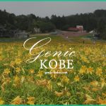 【六甲山カンツリーハウス】約27,000株の「ニッコウキスゲの大群落」【神戸】