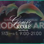 【須磨水族館】夜のスマスイ!IRODORI×ARTで夜間営業【イロドリ×アート】