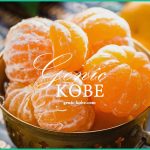 【兵庫県うまいものフェア】そごう神戸店・7月23日まで開催【三宮】