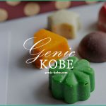 【貴女はどのパティスリーで買う？】ANIMAで買ったバレンタインチョコレート【神戸】