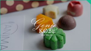 【貴女はどのパティスリーで買う？】ANIMAで買ったバレンタインチョコレート【神戸】