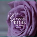 【板宿花市場がオープン】人気のお花屋さん【神戸須磨】