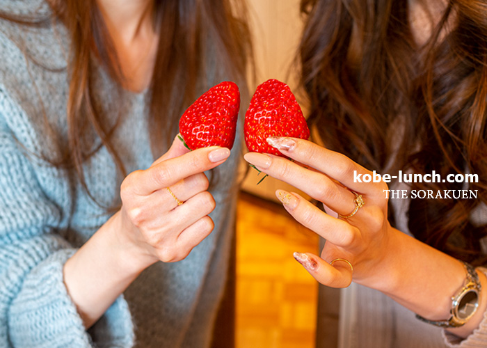 the sorakuen　苺アフタヌーンティー