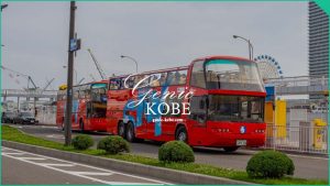 【SKYBUS KOBEのラストランに参加】ノーカット動画で紹介するよ！【最後のスカイバス神戸】