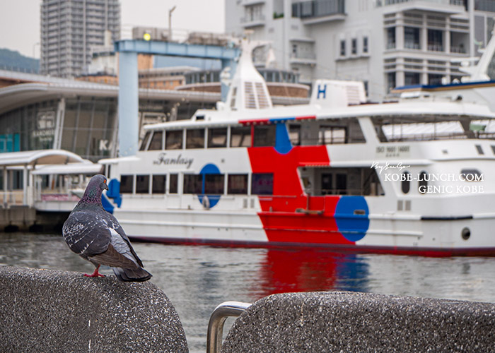 ファンタジー号