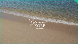 【今年の須磨海岸はサメよけネットなし！】海開きしていない2020年の夏【泳ぐの危険】