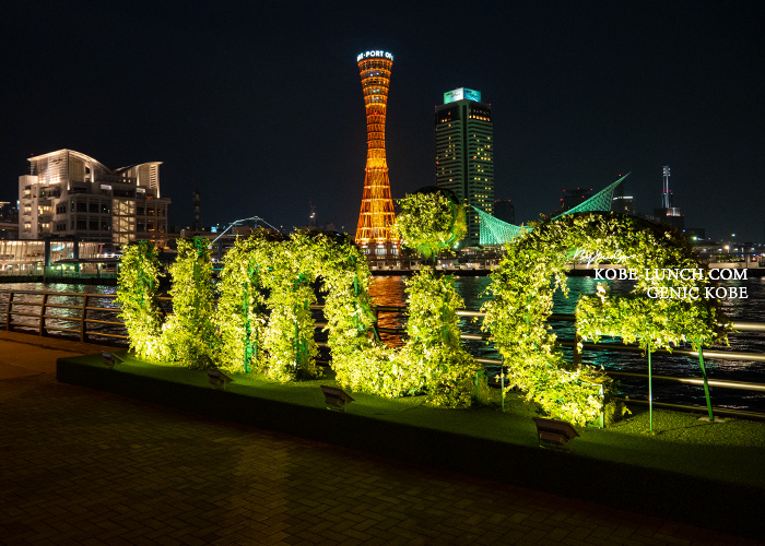 ウミエ Flower gardens