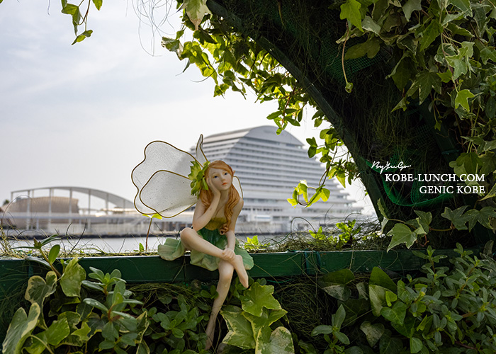 ウミエモザイク Flowergardens