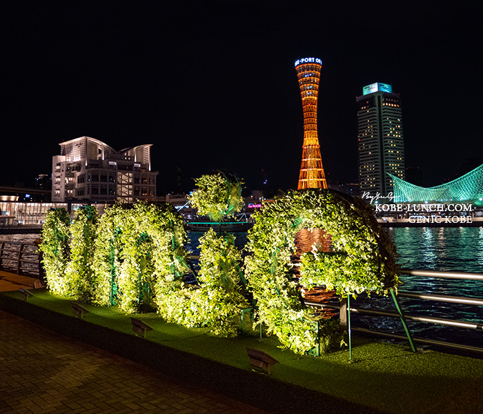 ウミエ フラワーガーデンズ