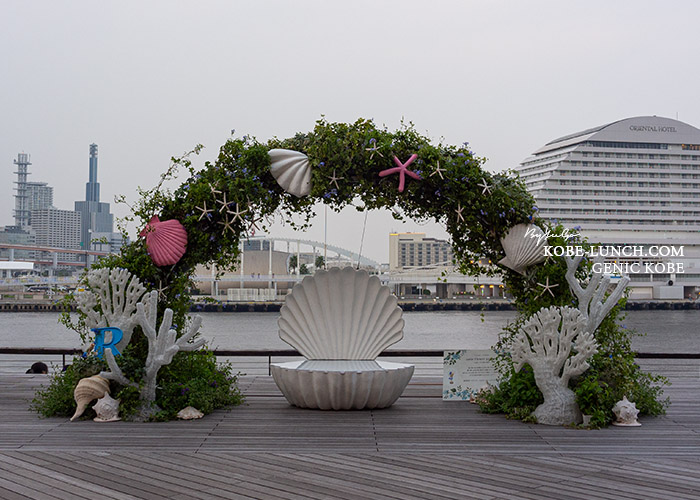 ウミエ Flower gardens