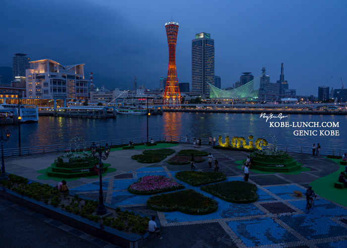 ウミエ Flower gardens