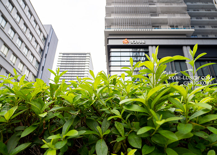 サンテレビ　新しい本社ビル