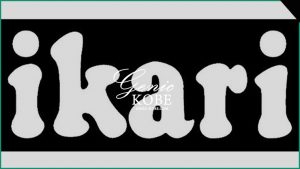 【東灘にオープン】いかりスーパーマーケット摂津本山駅前店【岡本】