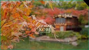 【こんな場所知らんかった♪】地元民がおすすめする兵庫神戸の紅葉名所【穴場も登場】