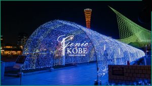 ※動画追加【メリケンパーク】BE THE LIGHT 2020を見てきました♪光のトンネルを歩こう【神戸】