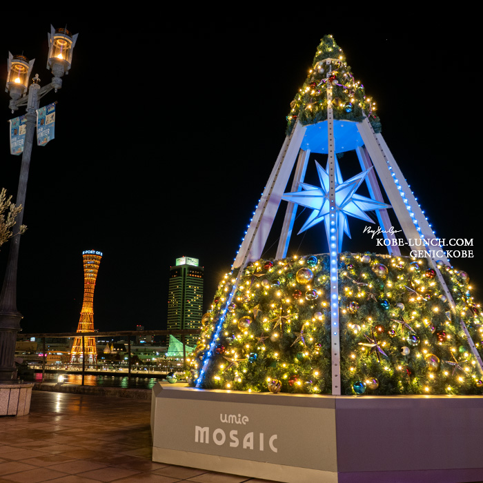 umie 光の広場 クリスマスツリー