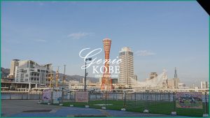 追記あり【モザイク浜側でドッグラン】ハーバーワンダーランドに行ってきました♪写真撮影も【神戸】