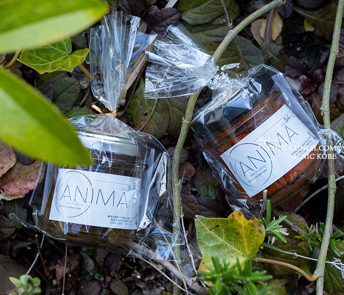 元町ANIMAのパスタソース