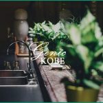 【T-falとWMFのジョイントショップ】リニューアルオープン【神戸北区・三田アウトレット】