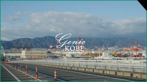 国内未確認の外来種バッタがポーアイで初発見！【神戸】