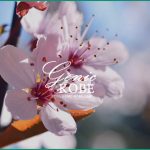 【須磨離宮公園で梅見会が開催してます】春のスウィートハート展【2021】