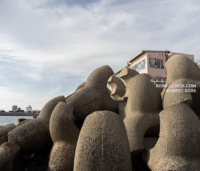 フィエスタ 神戸垂水