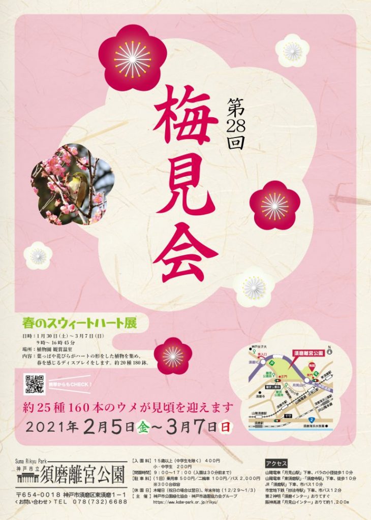 須磨離宮公園で梅見会