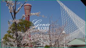 【もうすぐ春】神戸の四季を写真でちょっと紹介【春夏秋冬】