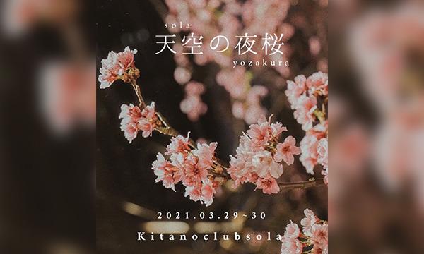 北野クラブソラ】桜の通り抜けと完全予約制で初のお花見BBQ