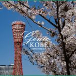 2022年 追記あり【神戸】メリケンパークを通ると桜が満開でした♪【ポートタワーと桜】