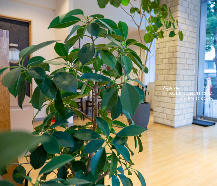 リオコーヒー神戸北野 インテリア