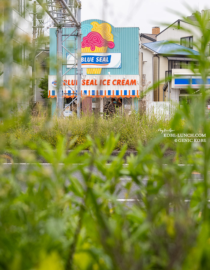 ブルーシール須磨海浜公園店