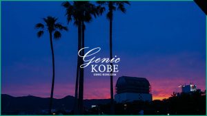 【須磨海岸の夕焼けが綺麗でした】願いの椰子の木【夕陽】