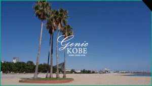 【コロナめ】海の家もなし！今年も須磨海岸が海開き中止へ【アジュール舞子も】