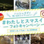 【参加賞として応募者全員にプレゼントも!】スマスイ「#わたしとスマスイ」インスタキャンペーン
