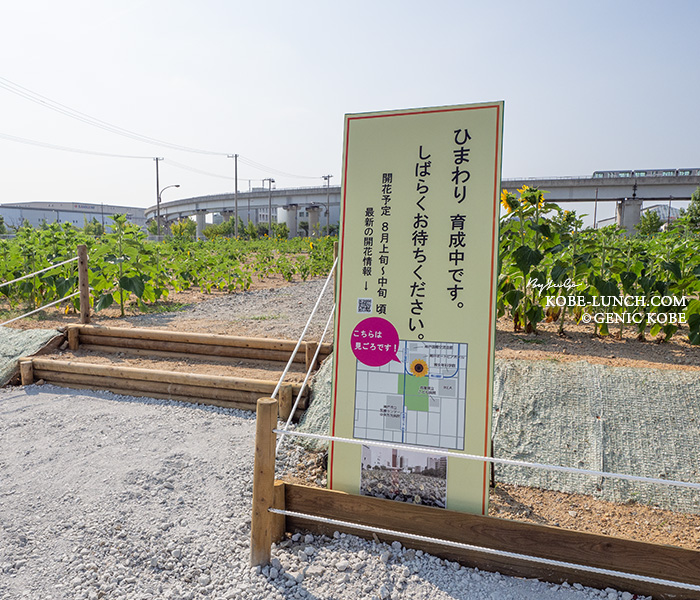 神戸どうぶつ王国 ひまわり