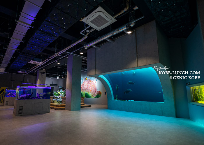 神戸ポートミュージアムのアトア