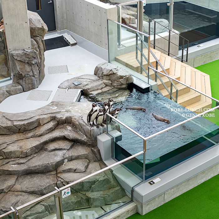 アトアカフェ神戸