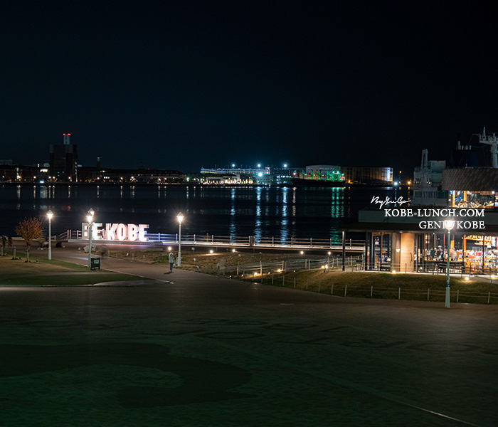 オーシャンプレイスからの景色