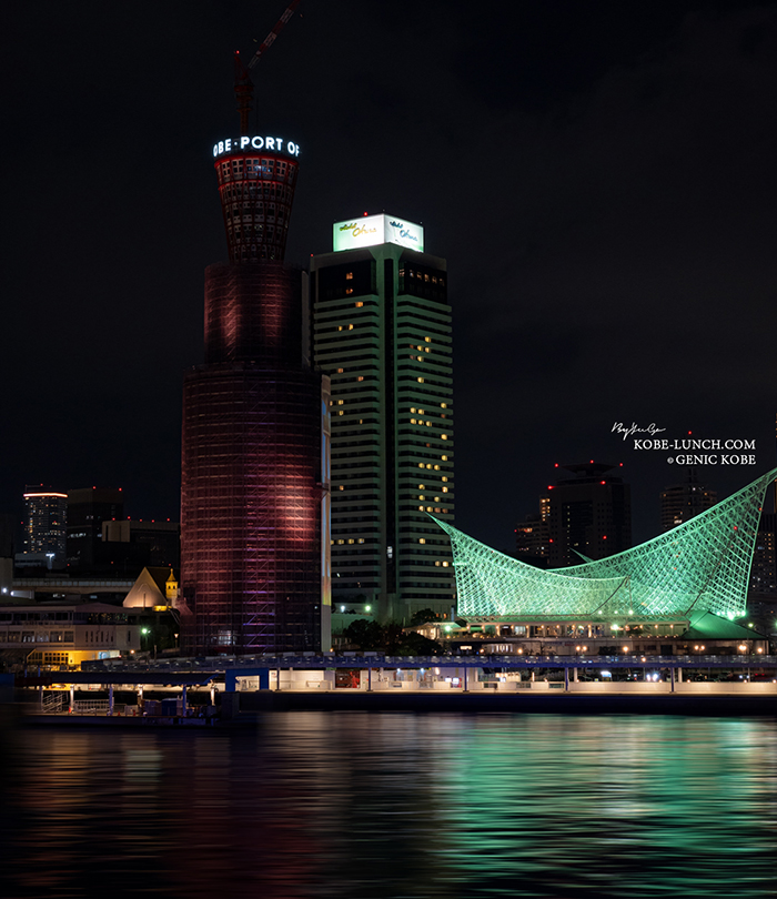 覆われたポートタワー