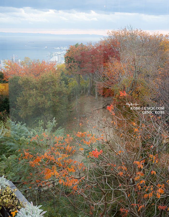 ザ・ヴェランダ 神戸