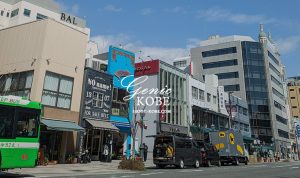 神戸元町に「Flying Carpet Gallery」さんがオープンするよ、ペルシャ絨毯のお店【ギャッペ】