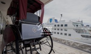 【速報レポ】えびす屋神戸店のリムジンリキシャがかっこ良すぎました【光る人力車】