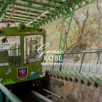 まやビューラインで「春休み子ども無料キャンペーン」開催中、ロープウェーもケーブルも子供無料！