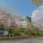 ソラカフェで神戸を一望できるピクニックプランが登場してるよ♪【北野】