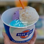 追記あり・ブルーシール西宮北口店へ行ってきたよ！【BLUESEAL ICECREAM】