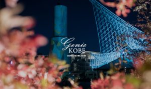 プロジェクションマッピング姿の神戸ポートタワーと桜が妖艶だった【夜景】