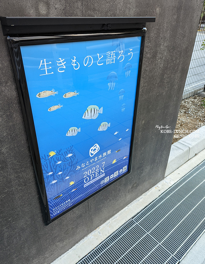 みなとやま水族館