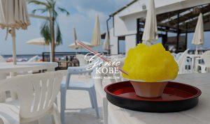 須磨海岸・海の家ぴーかんさんでかき氷！ピーカン晴れの日に行ってきた♪