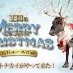 神戸どうぶつ王国に本物のトナカイがやって来た!記念撮影もできる!